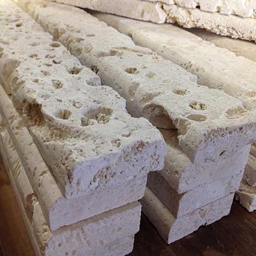 Bullnose for Coral Stone Tiles